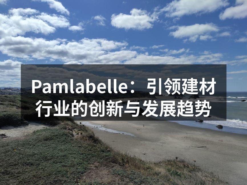 Pamlabelle：引领建材行业的创新与发展趋势